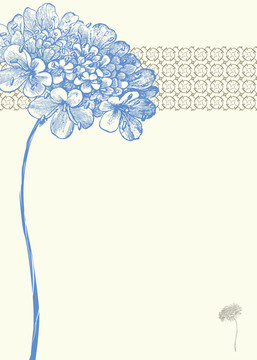 藍(lán)花背景