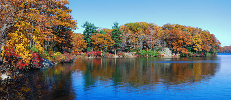 秋天的樹林與湖全景