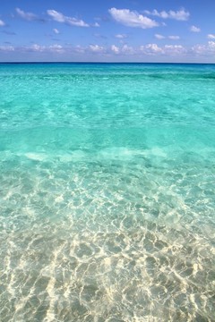 加勒比熱帶海灘清澈綠松石水
