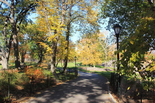 NY中央公園；