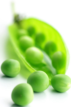 豌豆莢豌豆