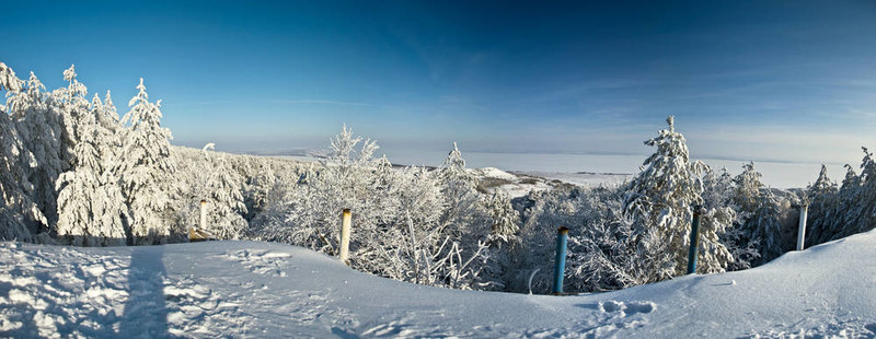 冬季山地景觀。白雪覆蓋的云杉和藍色晴朗的天空。