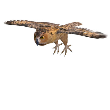 谷倉貓頭鷹鳥。3D渲染與剪輯路徑和陰影超過白色