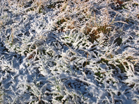 雪和冰的草的質地