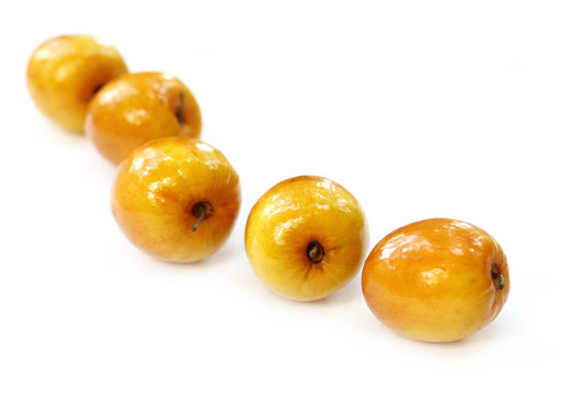 棗果實(shí)