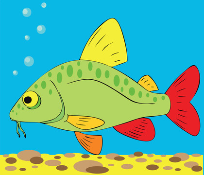 五顏六色的魚