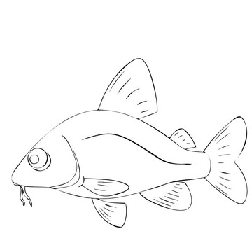 魚