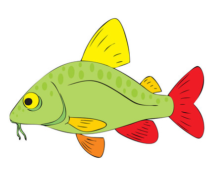 五顏六色的魚