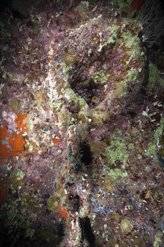 在紅海沉船和錨鏈Dunraven。