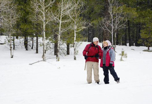 活躍的Retired Couple
