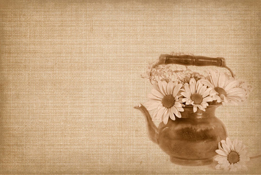 古董茶壺