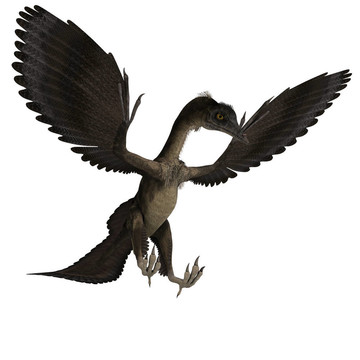 Dinosaur Archaeopteryx。3D渲染與剪輯路徑和陰影超過白色