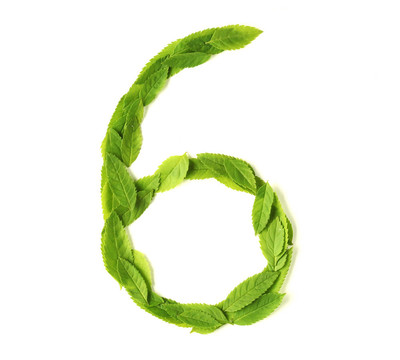 葉片數(shù)