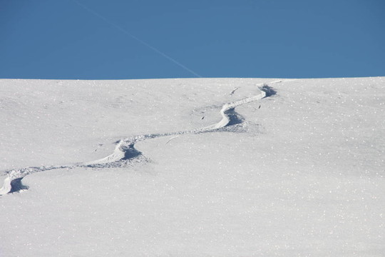 雪中的痕跡