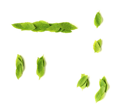 葉的符號(hào)