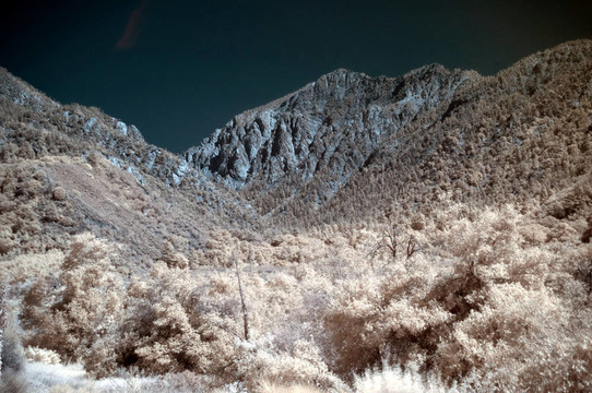 山