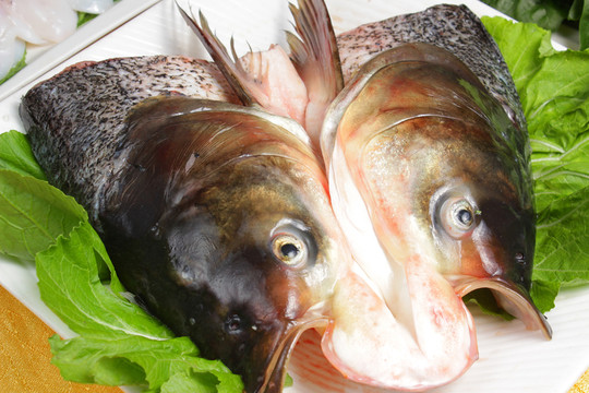 大魚(yú)頭 水庫(kù)大魚(yú)頭
