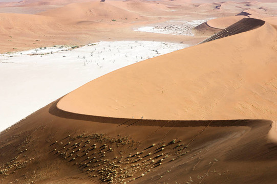 在納米布沙漠的沙丘Namib-Naukluft公園；納米比亞；