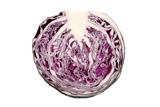 紅甘藍(lán)