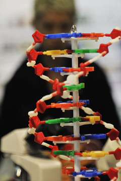 DNA链的螺旋