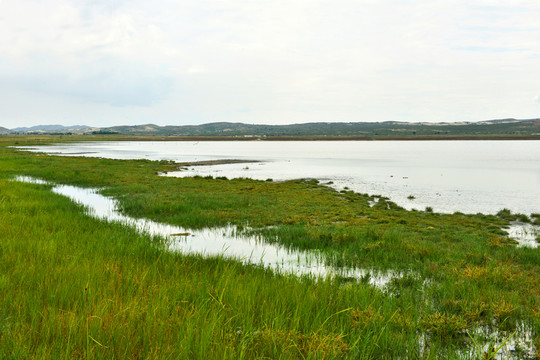 草原湖泊