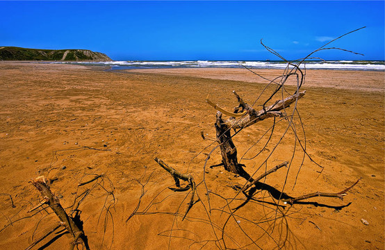 桑迪紅海灘與分支（HDR）