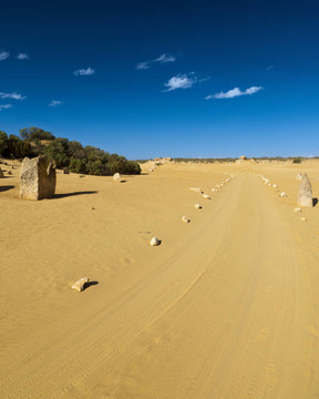 沙漠公路