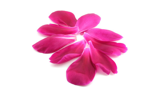 花瓣花瓣。