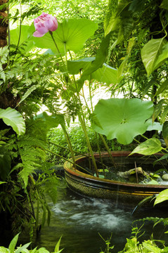 秘密花園