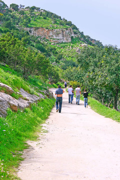 阿卡馬斯半島