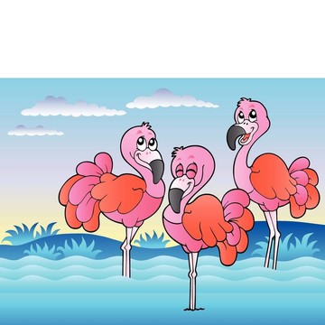 三只火烈鳥站在水里