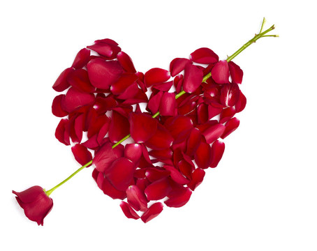 心形玫瑰花瓣花愛(ài)情人節(jié)