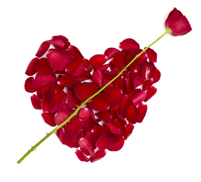心形玫瑰花瓣花愛情人節(jié)
