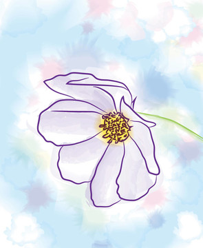 kosmeya
