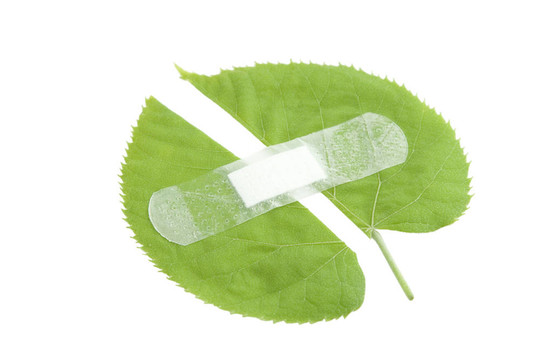 環(huán)境保護(hù)