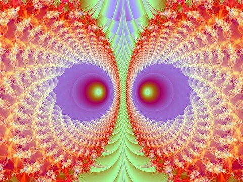 貓頭鷹的眼睛