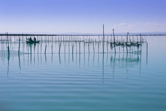 Albufera瓦倫西亞湖濕地的地中海