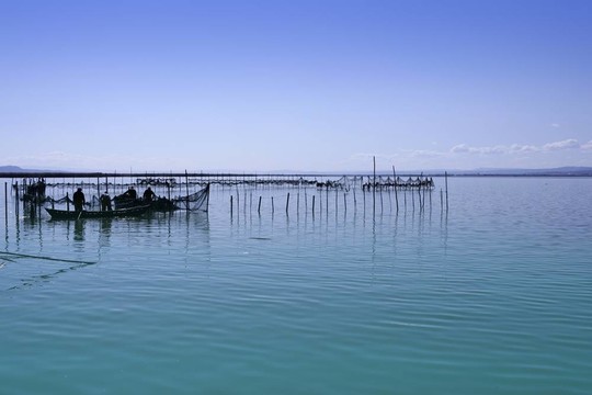 Albufera瓦倫西亞湖濕地的地中海