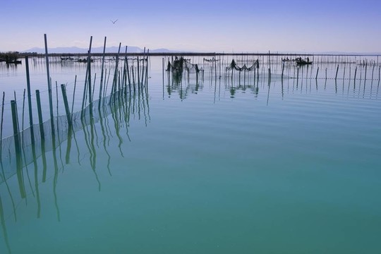 Albufera瓦倫西亞湖濕地的地中海