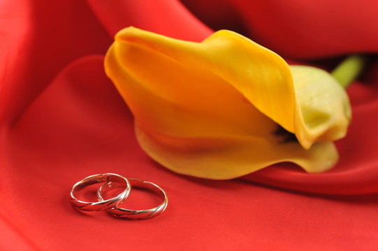 紅色的結(jié)婚戒指和黃色的花