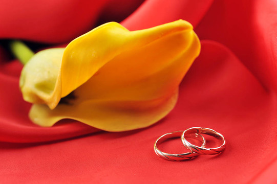 紅色的結(jié)婚戒指和黃色的花