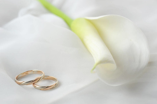白色的結(jié)婚戒指和白色的花