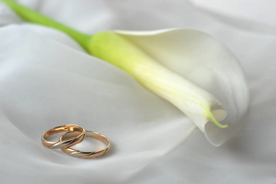 白色織物和結(jié)婚戒指
