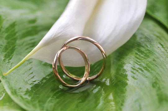 calla lily和結(jié)婚戒指