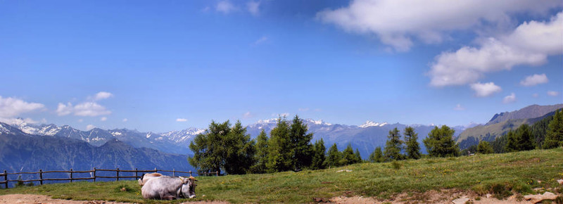 牛和山