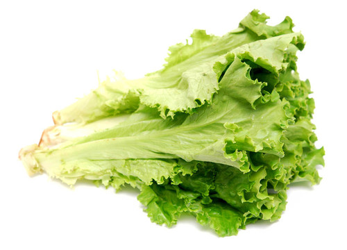 生菜