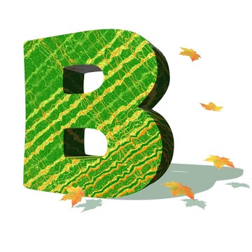 生態(tài)字母B