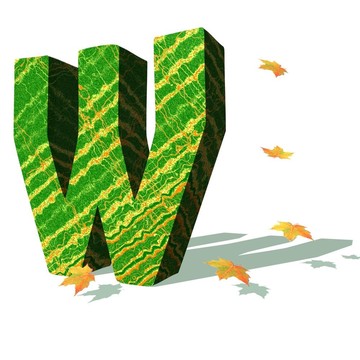 生態(tài)W字母