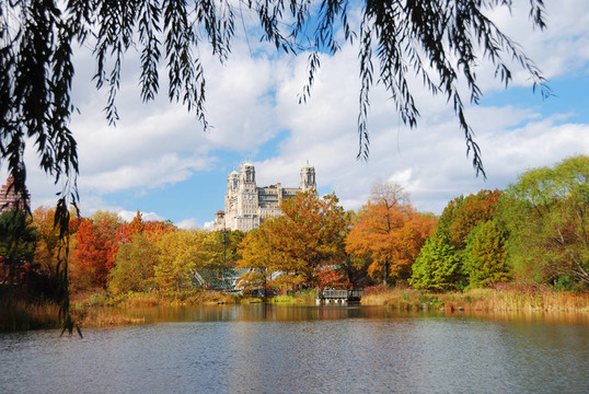 中央公園