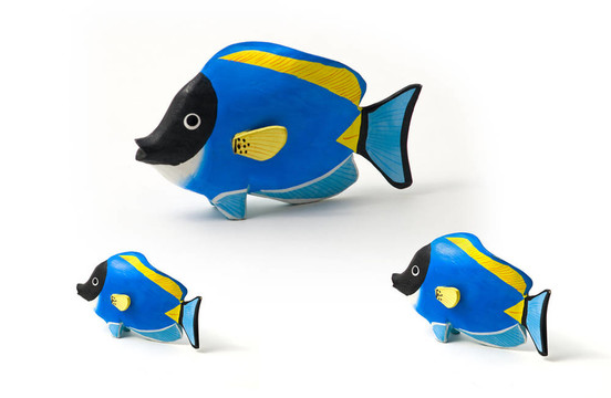 外科醫(yī)生魚(yú)家庭。
